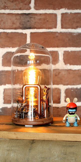 Steampunk sous cloche 170