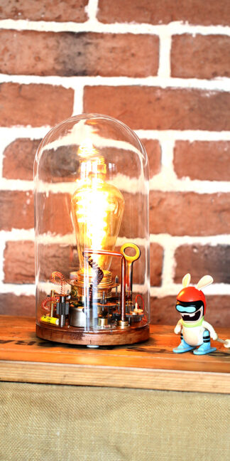 Steampunk sous cloche 181