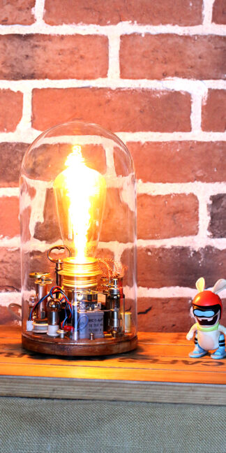 Steampunk sous cloche 184